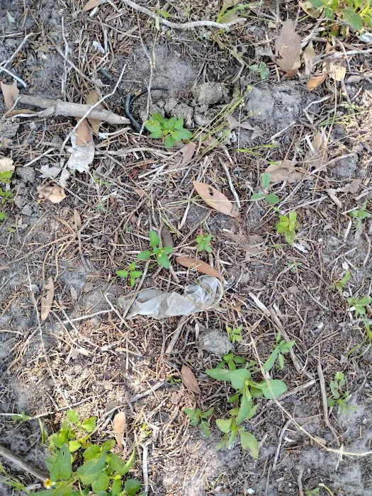 Barnett Dog park 1