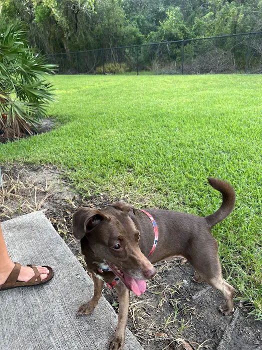 Barnett Dog park 4