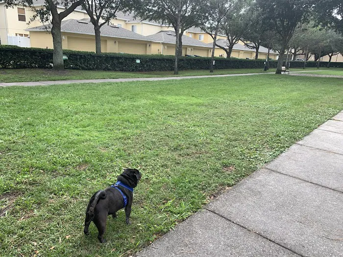 Avalon Park Dog Park 6