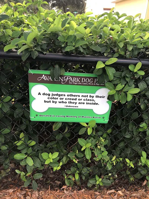 Avalon Park Dog Park 10