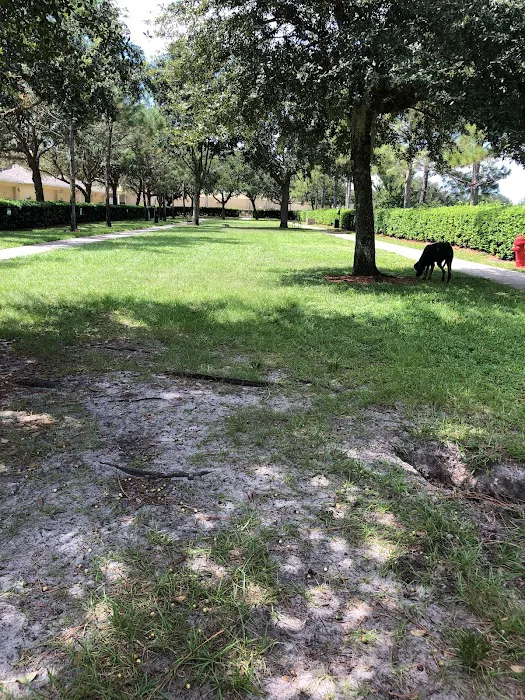 Avalon Park Dog Park 9