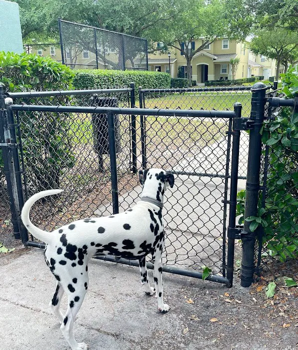 Avalon Park Dog Park 4