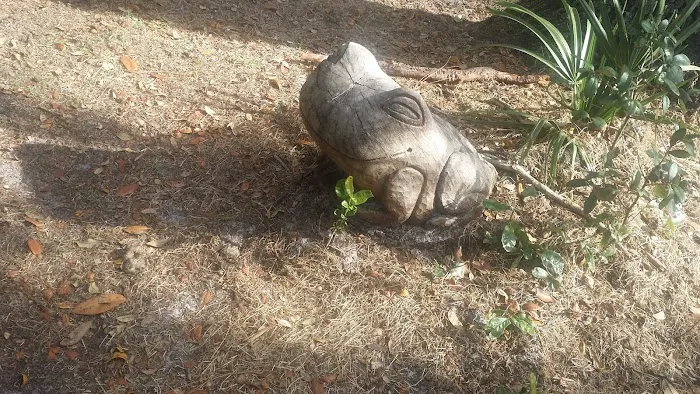 West Orange Dog Park 4