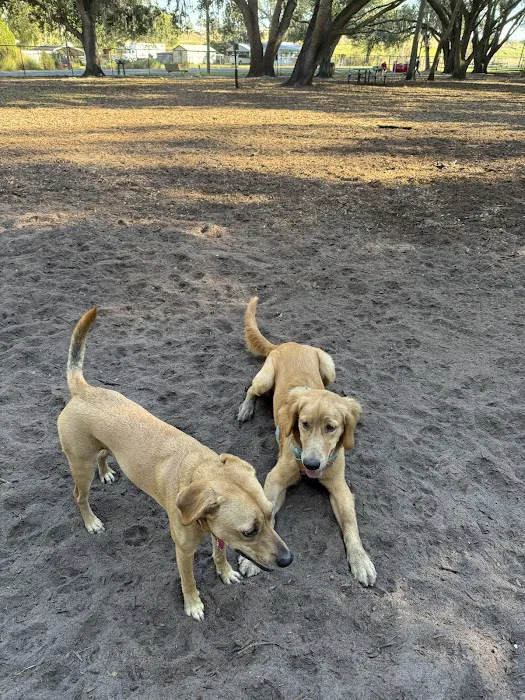 West Orange Dog Park 2