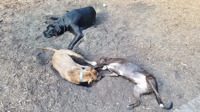 West Orange Dog Park 3