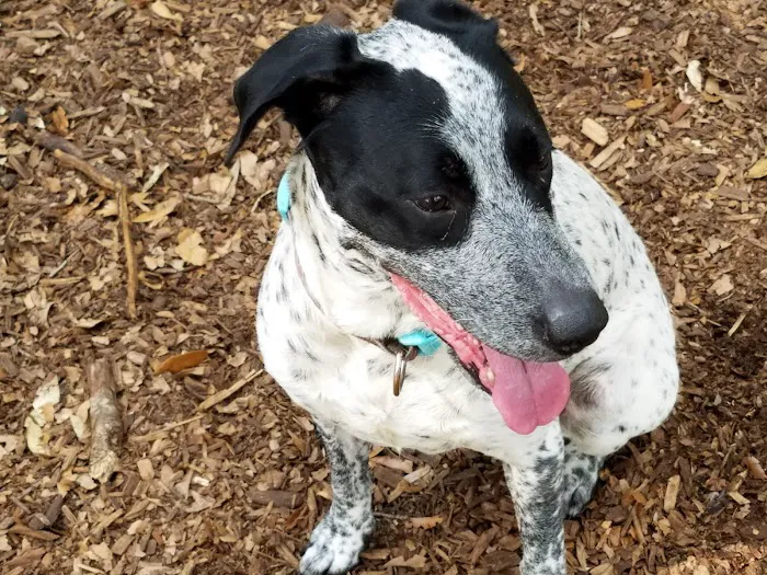 West Orange Dog Park 1