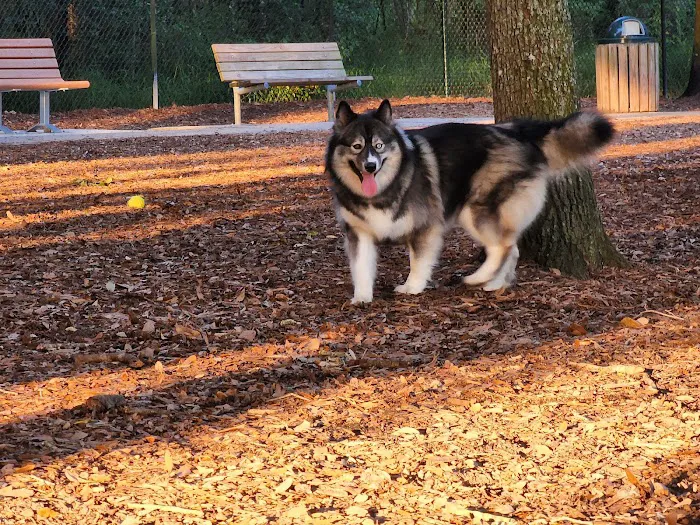 West Orange Dog Park 9