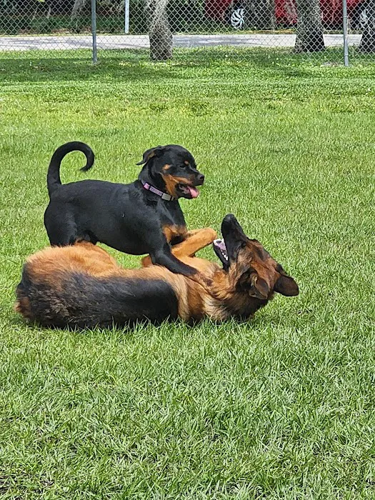 Carla Gnann-Thompson Memorial Dog Park 9
