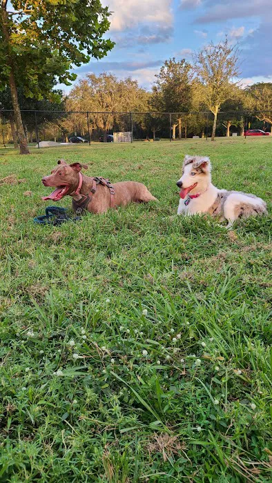Independence Community Dog Park 1