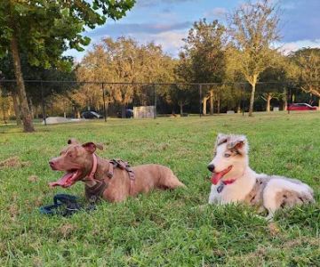 Independence Community Dog Park