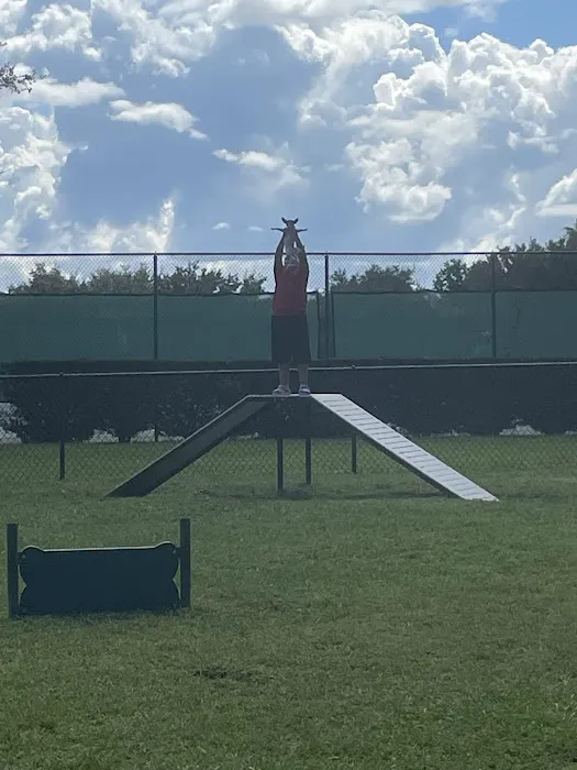 Falcon Square Dog Park 9