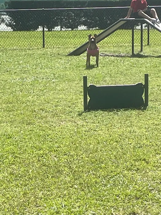 Falcon Square Dog Park 6