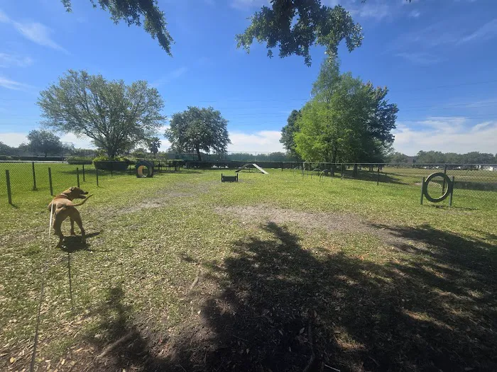 Falcon Square Dog Park 5