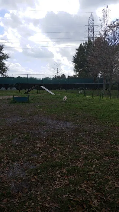 Falcon Square Dog Park 2