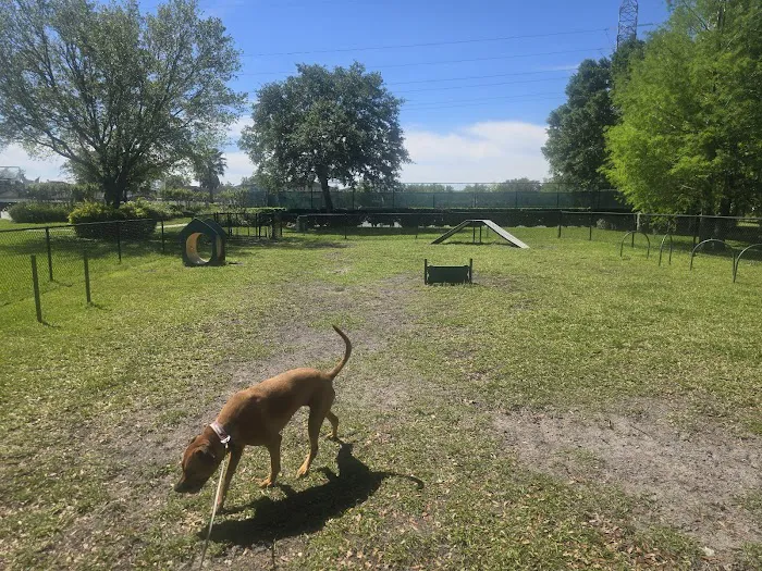 Falcon Square Dog Park 4