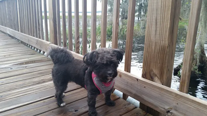 Clermont Dog Park 5