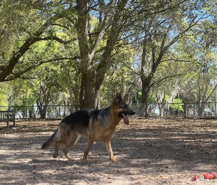 Clermont Dog Park 7