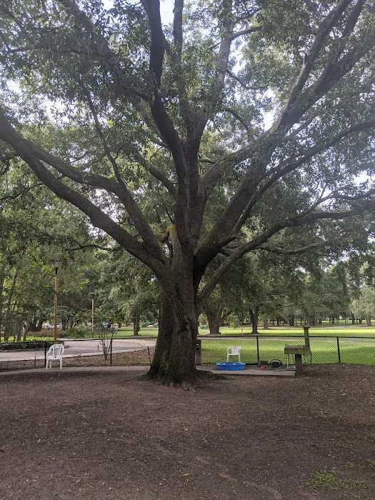 Clermont Dog Park 10