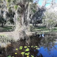 Clermont Dog Park ico