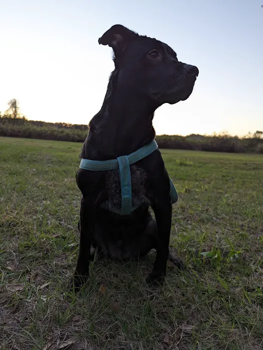 Clermont Dog Park 9