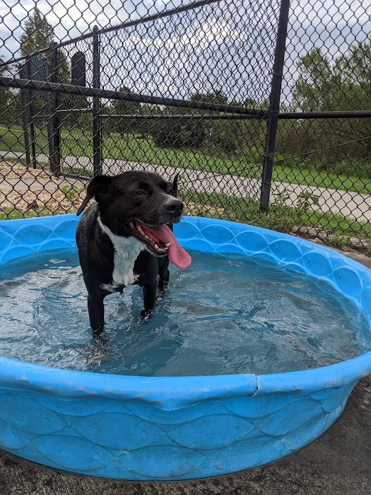 Dr. Phillips Dog Park 2