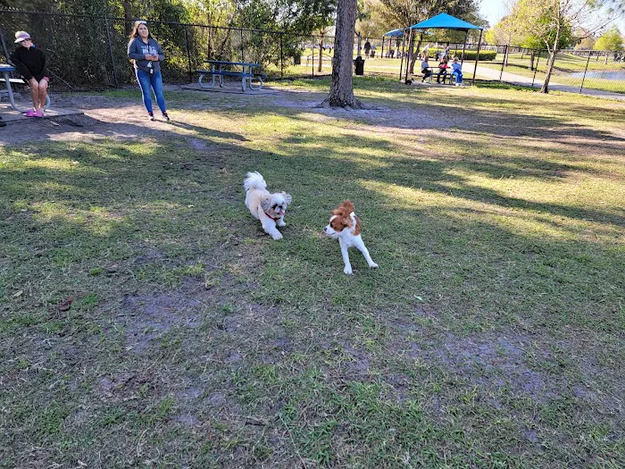 Dr. Phillips Dog Park 5