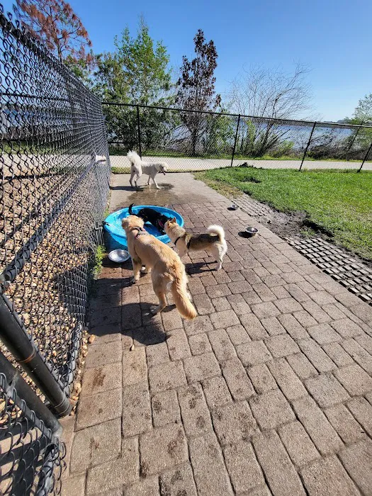 Dr. Phillips Dog Park 4