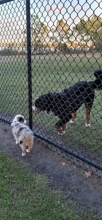 Dr. Phillips Dog Park 8