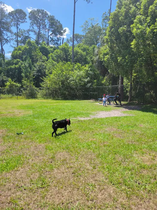 Dr. Phillips Dog Park 9