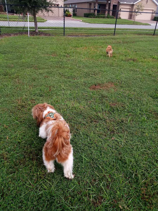 The Reserve at Sawgrass Dog Park 5