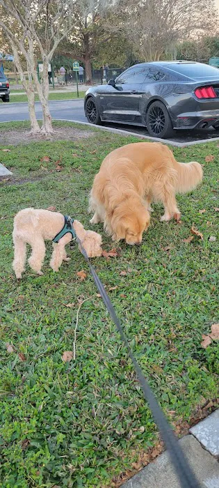 Meadow Woods Dog Park 4