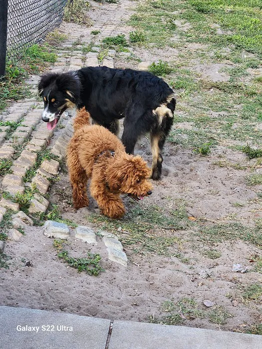 Meadow Woods Dog Park 10
