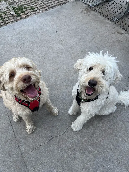 Meadow Woods Dog Park 8