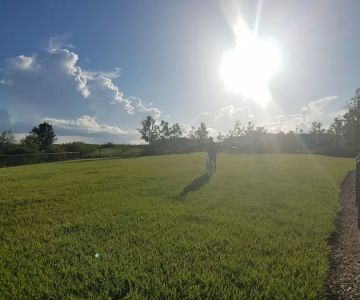 Laureate Park - Dog Park