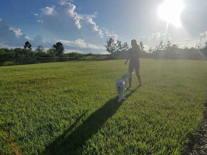 Laureate Park - Dog Park 2