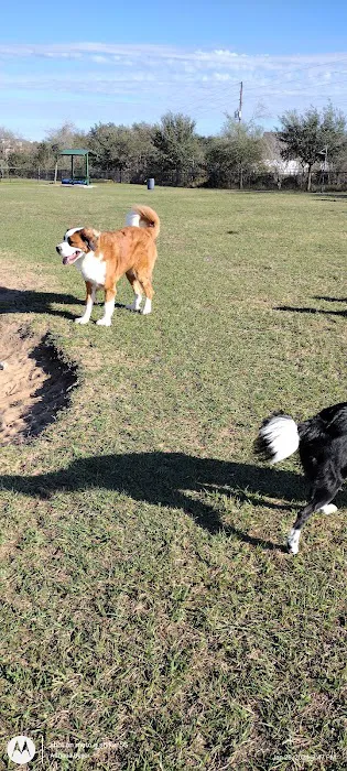 Dog park 7