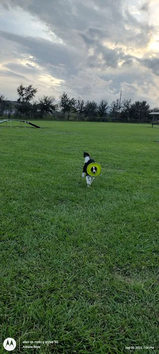 Dog park 8