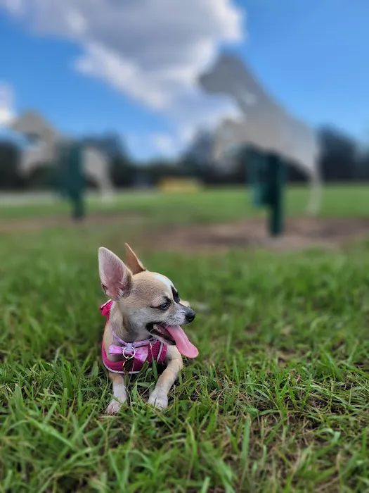 Dog park 9