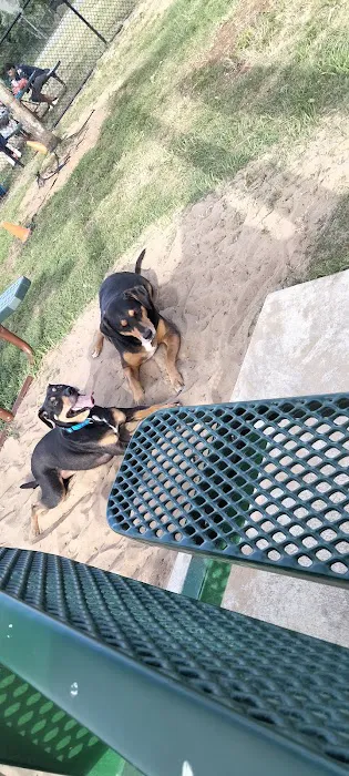 Dog park 10