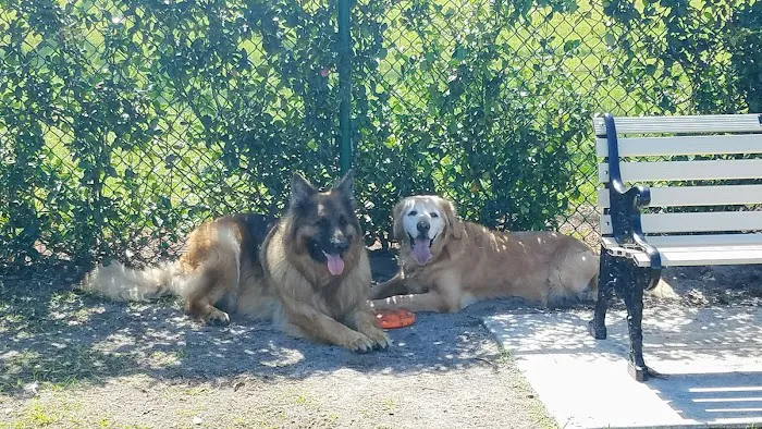 Atlas Canine Recreation Park (Dog Park) 8
