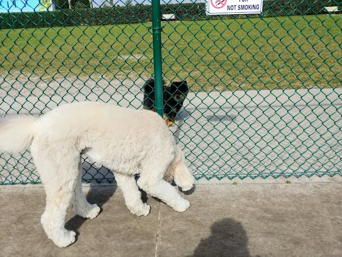 Atlas Canine Recreation Park (Dog Park) 5