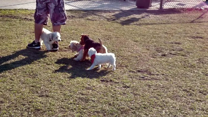 Atlas Canine Recreation Park (Dog Park) 10