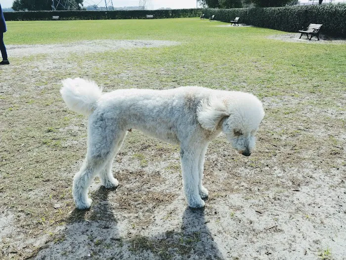 Atlas Canine Recreation Park (Dog Park) 4