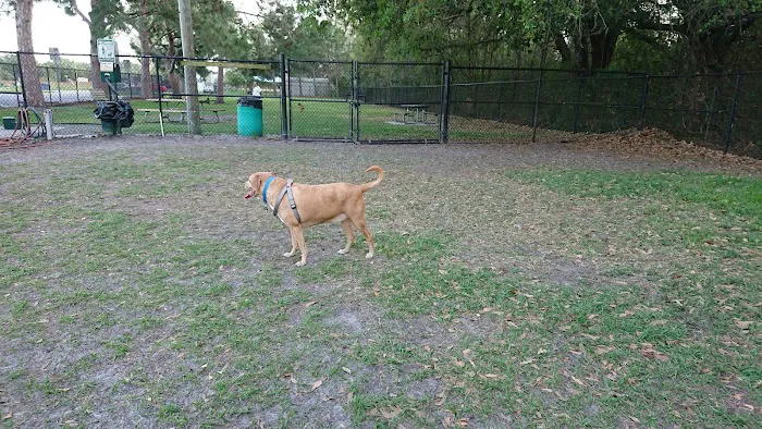 Partin Triangle Dog Park 8
