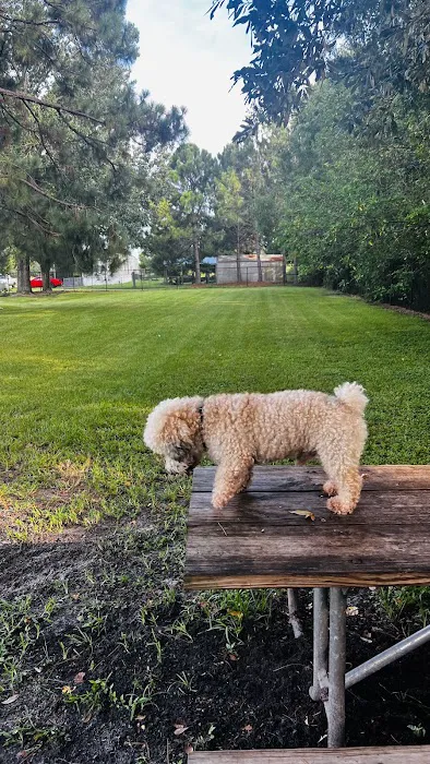 Partin Triangle Dog Park 4