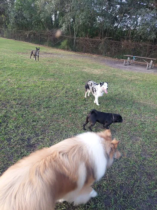 Partin Triangle Dog Park 7
