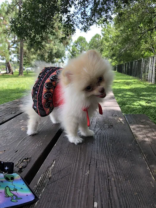 Partin Triangle Dog Park 9