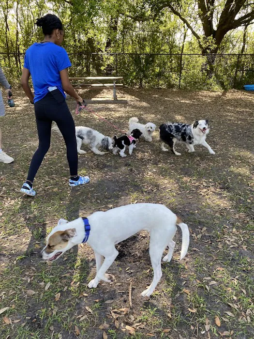 Partin Triangle Dog Park 3