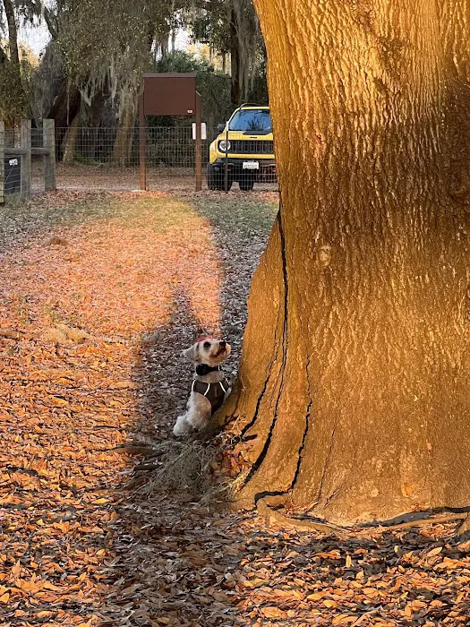 BarkPark of Wildwood 2
