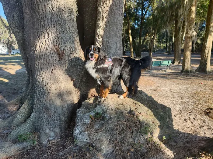 BarkPark of Wildwood 8